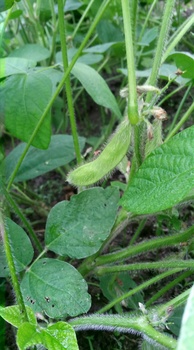 IMG02020.jpg