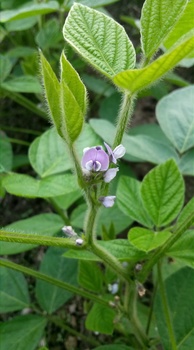 IMG02021.jpg