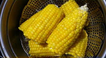 IMG02022.jpg