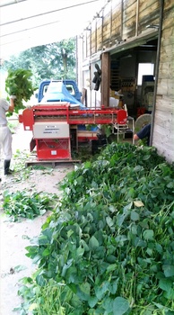 IMG02125.jpg
