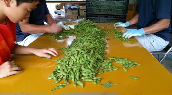 IMG02129.jpg